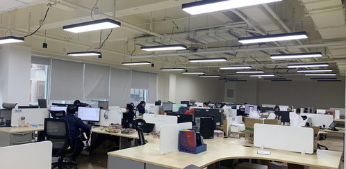 成都高新区 以“实”字为核心，助力小微信息技术咨询服务企业蓬勃发展