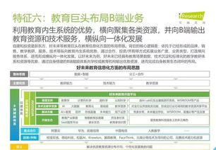 2019年中国教育信息化行业报告 信息技术咨询服务分析